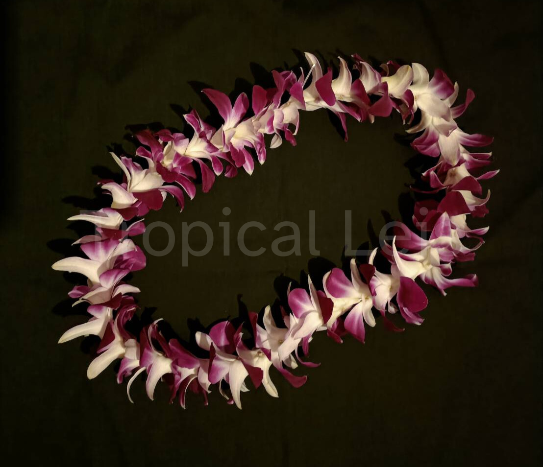 Single Purple Lei